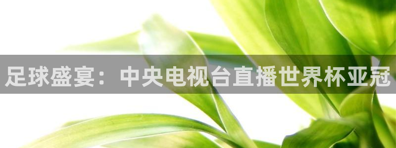 鲸鱼体育app下载安装最新版：足球盛宴：中央电视台直播世界杯亚冠