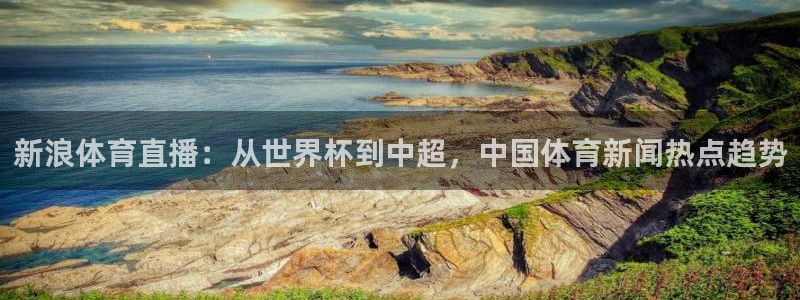 鲸鱼直播nba：新浪体育直播：从世界杯到中超，中国体育新闻热点趋势