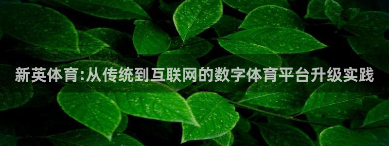 鲸鱼体育下载官方正版：新英体育:从传统到互联网的数字体育平台升级实践