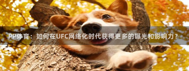 鲸鱼体育直播在线观看高清：PP体育：如何在UFC网络化时代获得更多的曝光和影响力？