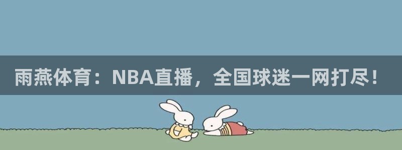 鲸鱼直播体育：雨燕体育：NBA直播，全国球迷一网打尽！
