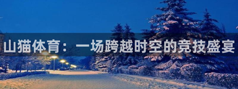 鲸鱼体育tv版下载：山猫体育：一场跨越时空的竞技盛宴