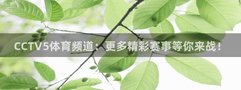 鲸鱼体育直播app下载：CCTV5体育频道：更多精彩赛事等你来战！