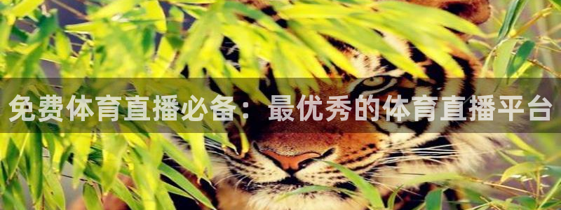 鲸鱼体育在线直播nba：免费体育直播必备：最优秀的体育直播平台