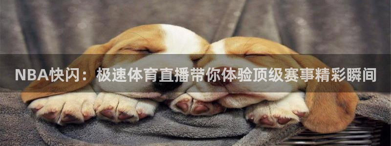 鲸鱼体育app下载安装最新版：NBA快闪：极速体育直播带你体验顶级赛事精彩瞬间