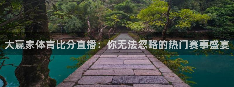 鲸鱼体育免费观看：大赢家体育比分直播：你无法忽略的热门赛事盛宴