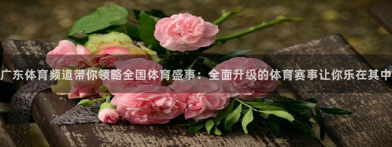 鲸鱼看球直播：广东体育频道带你领略全国体育盛事：全面升级的体育赛事让你乐在其中