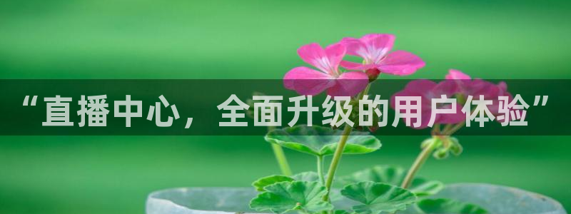 鲸鱼看球直播：“直播中心，全面升级的用户体验”